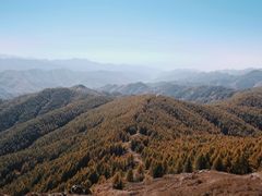 -苏木山森林公园