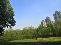 -长白岛森林公园