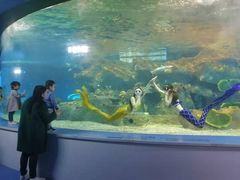 -沙沙哗啦海洋馆(华宇百花谷店)