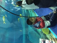 -福州罗源湾海洋世界旅游区