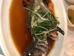 葱捞鲈鱼-御满江海鲜酒家(洛溪新城店)