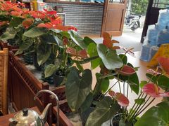 -顺德一品粥·20年凤城老字号(芳村店)