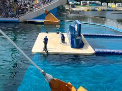 -秦皇岛乐岛海洋王国