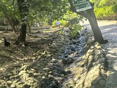 -燕塞湖鸟语林景区