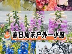 -九科绿洲