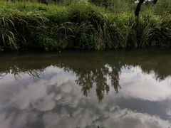 -捞渔河湿地公园