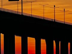 -宝安西湾红树林湿地公园