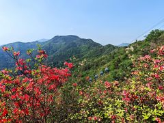 -木兰云雾山