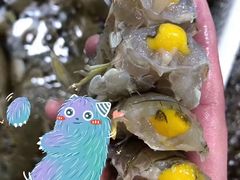-王四营海鲜市场