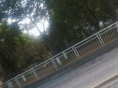 -飞来湖湿地公园