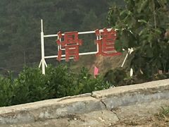 -燕子河大峡谷天坑仙境