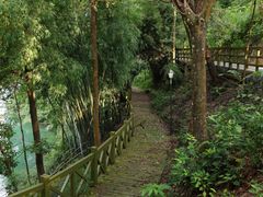 -广州市流溪河国家森林公园
