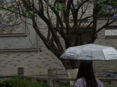 -龙潭水乡