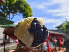 -宝墨园景区