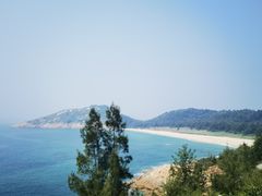 -广东惠东海龟国家级自然保护区