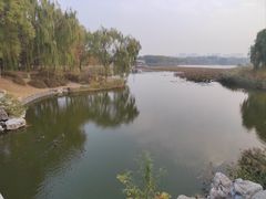 -大兴滨河森林公园