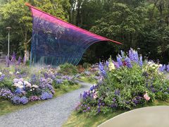 -深圳仙湖植物园