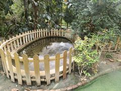 -呀路古热带植物园