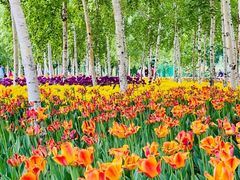 -长春公园(普阳街道)