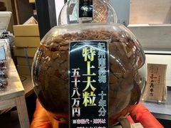 -南纪白浜Toretore市场