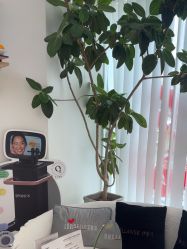 -WENDY·温迪皮肤管理