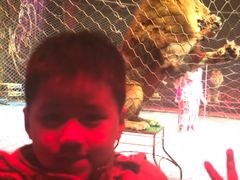 -珠海横琴长隆《卡卡虎奇遇记》