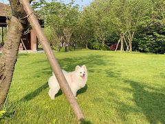 -上海月湖雕塑公园