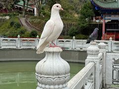-六祖寺