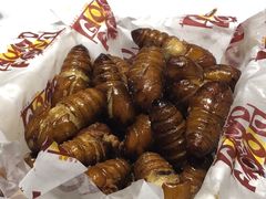 -巴依老爷新疆美食(常营店)