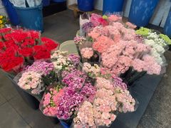 -双季花艺园艺市场(浦东店)