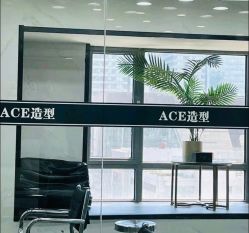 -ACE造型