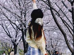 -南京邮电大学(仙林校区)