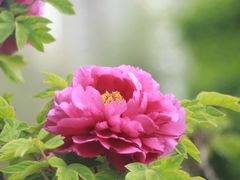 -迎泽公园
