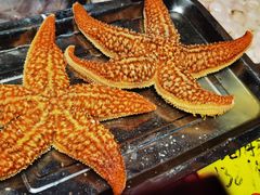 -鱼市酒店(威海水产批发市场店)