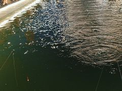 -DGE季风钓虾营地·团建·聚会