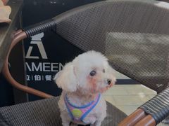 -ALAMEEN阿拉伯餐厅(三里屯店)