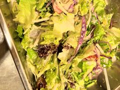 -小牛哈尼章鱼水煎肉(金鹰店)
