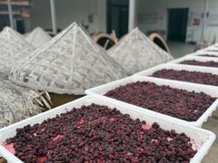 -苏州市吴中区光福窑上花果蜜饯厂