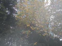 -Together·泰式按摩精油SPA(虹桥店)