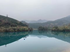-午潮山国家森林公园