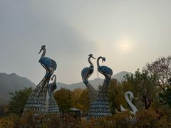 -密云玫瑰情园