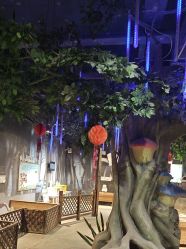 -酷嗒动物文化乐园(cutezoo西溪乐天城店)