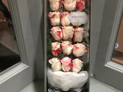 -ROSEONLY诺誓(磐基中心店)