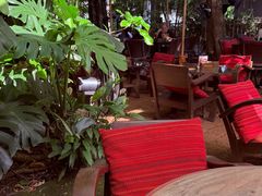 -Fern Forest Cafe