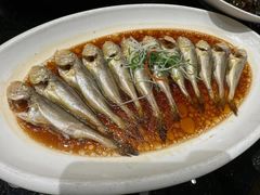 -渔人码头(中南店)