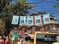 -猫咪博物馆(顶澳仔猫街店)