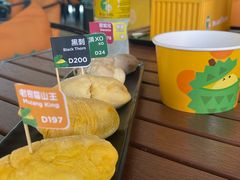 -榴莲BB 四季果园