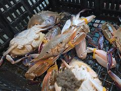 -争先鲜·蒸汽海鲜自助·鲜切牛肉