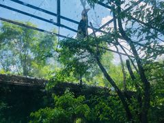 -沈阳鸟岛