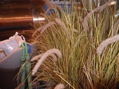 -千滋百味自助海鲜烤肉(布吉景华店)